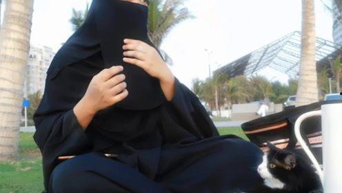 娱乐吃瓜君17集,揭秘娱乐圈背后的惊人真相 第2张 娱乐吃瓜君17集,揭秘娱乐圈背后的惊人真相 第2张