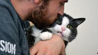 吃瓜娱乐的喵哥是谁呀,吃瓜娱乐界的神秘喵星人 第3张 吃瓜娱乐的喵哥是谁呀,吃瓜娱乐界的神秘喵星人 第3张